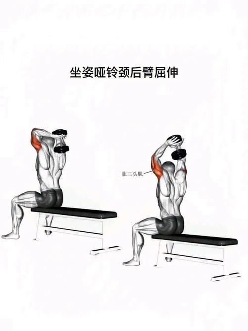 屈臂撑练什么肌肉_屈臂撑练胸肱三头肌,动作要领与常见错误 屈臂撑练什么肌肉_屈臂撑练胸肱三头肌,动作要领与常见错误