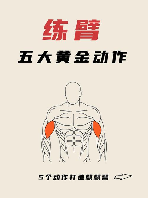 无工具锻炼臂力的方法_无器械臂力训练法，简单有效！