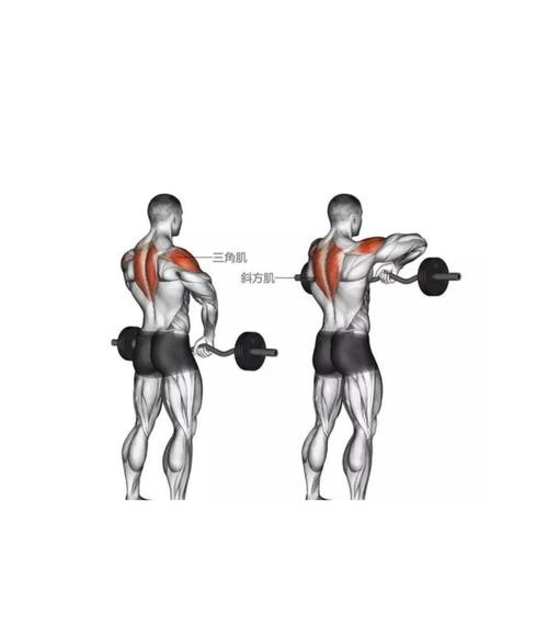 消除斜方肌最好的5个动作_斜方肌肥大怎么办？居家动作改善！