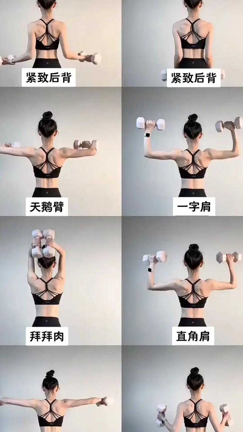 能同时练胳膊和背的动作_背臂协同无氧训练，增肌强力防受伤