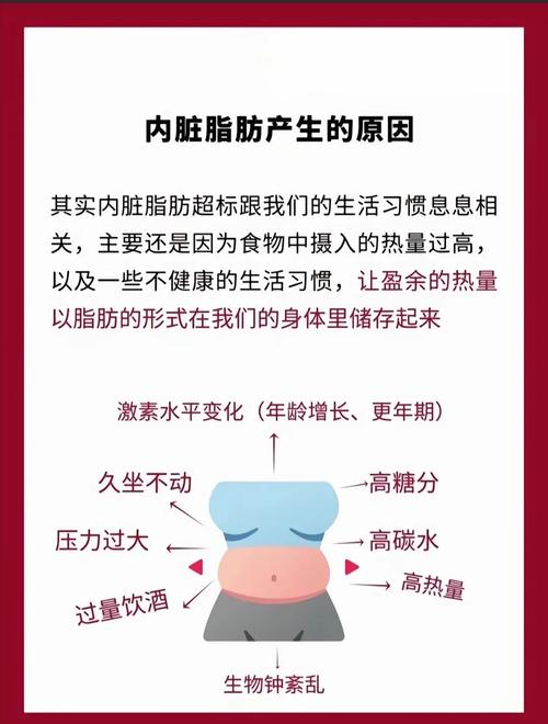 减皮下脂肪的最佳方法_管住嘴迈开腿，健康瘦下来