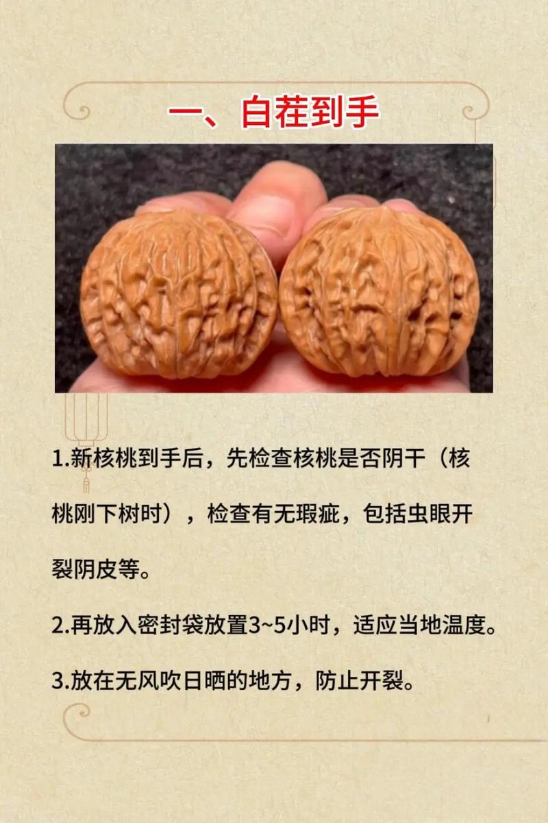 核桃打底最快的方法_核桃打底保纹路,快包浆超重要! 核桃打底最快的方法_核桃打底保纹路,快包浆超重要!