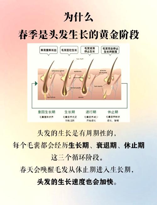 种植头发能维持几年_植发效果能维持多久? 种植头发能维持几年_植发效果能维持多久?