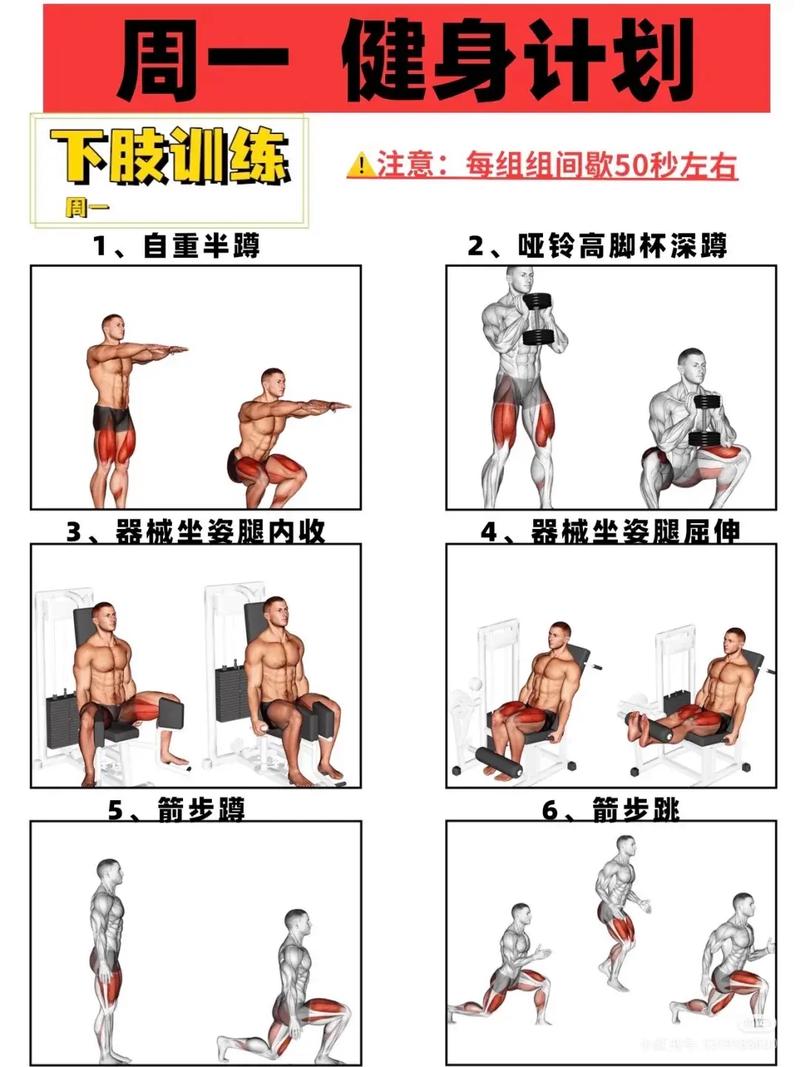 大圆肌小圆肌训练方法_大圆肌练出好体态，推胸划船器械都行