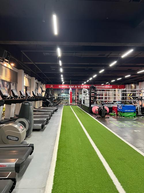 重庆长寿区维捷健身_长寿健身热潮,维捷健身引领健康生活新起点! 重庆长寿区维捷健身_长寿健身热潮,维捷健身引领健康生活新起点!