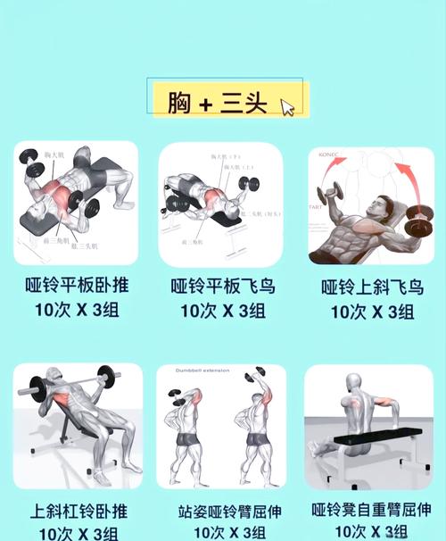 三点式锻炼，强腰背，缓解酸痛