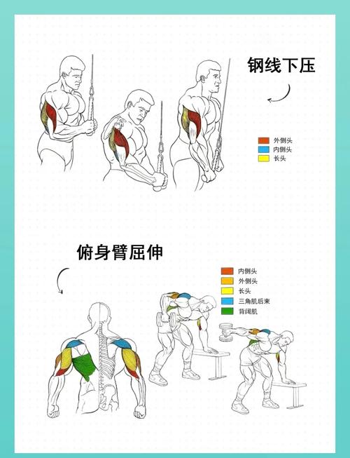 肌张力训练10个动作_10动作改善身体机能