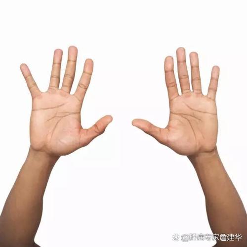 两手平举是什么动作_平举运动好处多，肩臂拉伸要适度