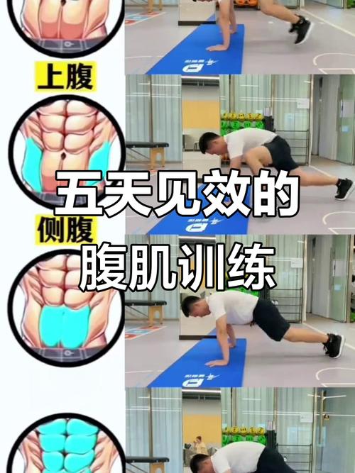大概几天能练出腹肌_坚持练腹肌，至少两周才见效