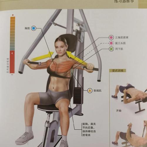 坐拉训练器使用方法_高位下拉练背,姿势呼吸要对 坐拉训练器使用方法_高位下拉练背,姿势呼吸要对