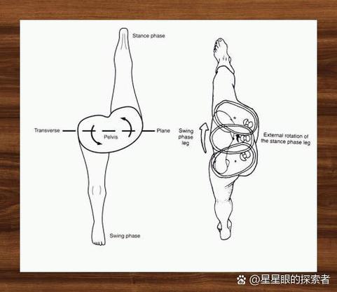 送髋训练方法_跑快跑远小窍门