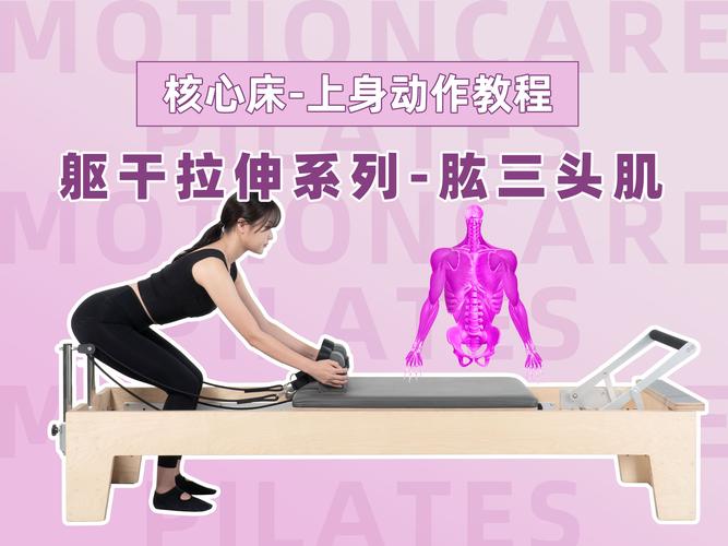 肱三头肌的训练方法_动作与营养增肌攻略