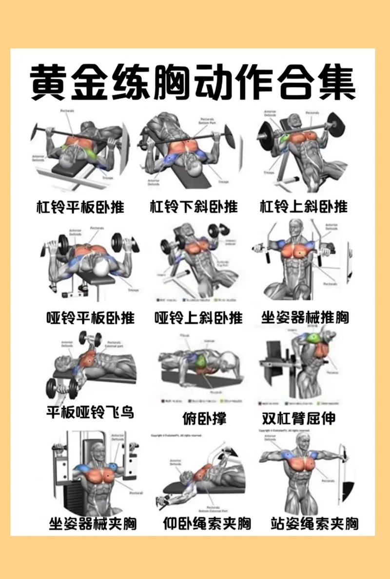 胸大肌上部训练方法_练上胸，突出V线！精准动作幅度是关键