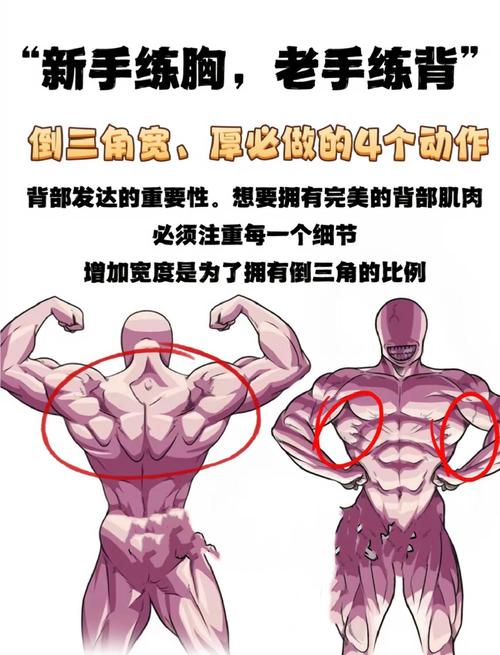 倒蹬练哪里的肌肉_倒蹬机练腿臀，姿势安全很重要！