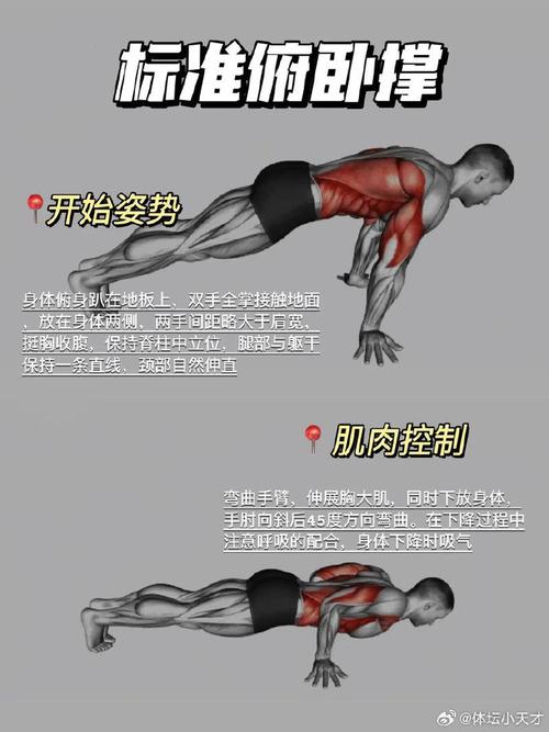 做俯卧撑能练引体向上吗_俯卧撑助你轻松掌握引体向上 做俯卧撑能练引体向上吗_俯卧撑助你轻松掌握引体向上