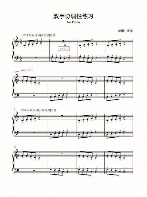 钢琴左右手协调训练方法_钢琴左右手协调难？别慌，这几招帮你练！