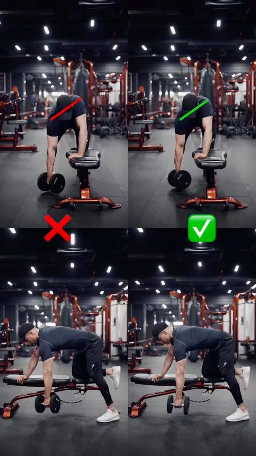 俯身单臂哑铃划船正确姿势_俯身单臂哑铃划船，练背肌又稳又强！