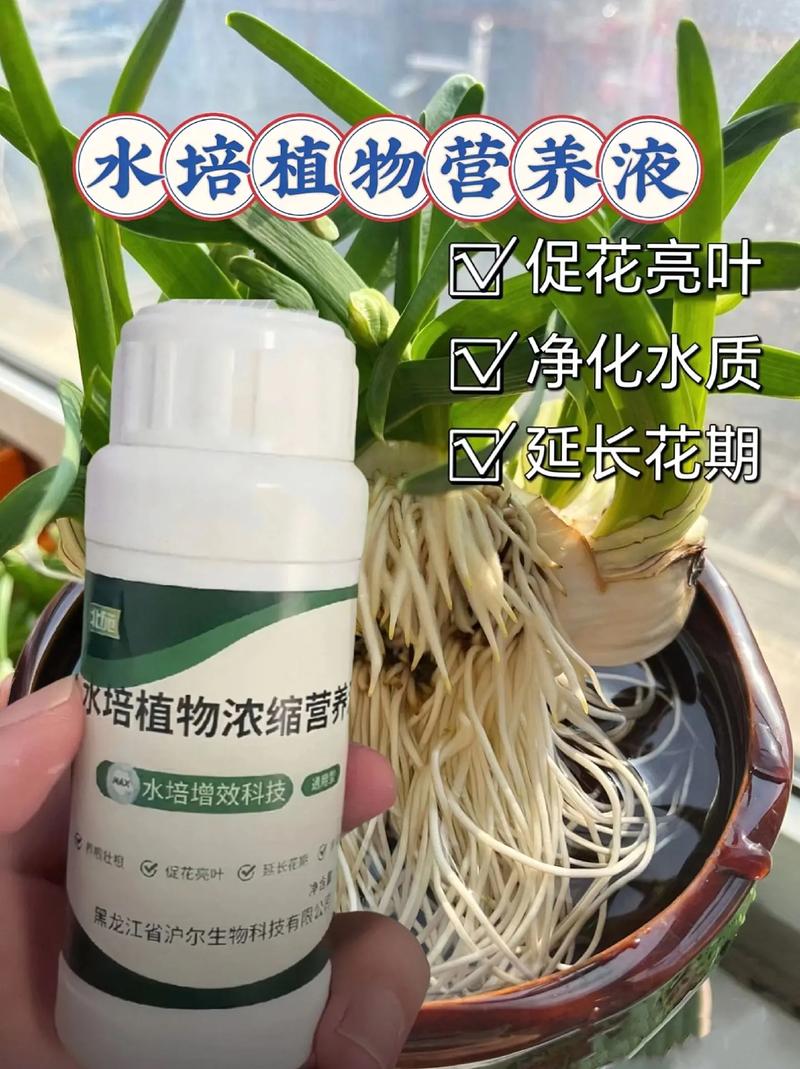 营养液的正确使用方法_营养液应用与注意事项