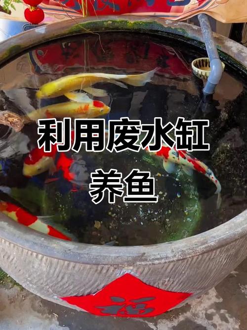 锦鲤跳缸最简单三个步骤_锦鲤跳缸怎么办？快速解决方法