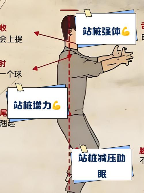 小狼肌肉打桩最简单三个步骤_精准打桩保质量，腹肌训练需规范