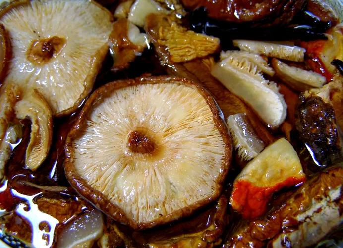 干香菇怎么泡发才正确方法_温水和盐泡香菇，鲜嫩又去杂