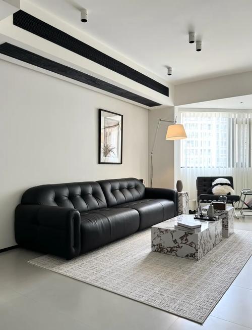 黑沙发的三个最佳配色_白米蓝，提升家居格调