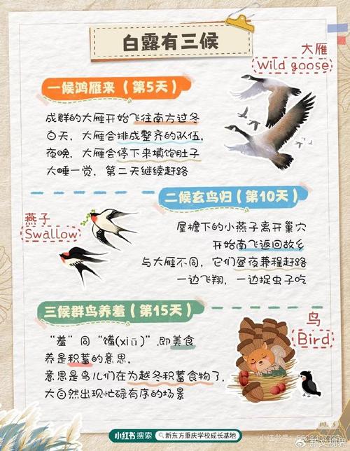 白露社三部曲顺序_白露社百合《聆花》三部曲，细腻成长，情动人心