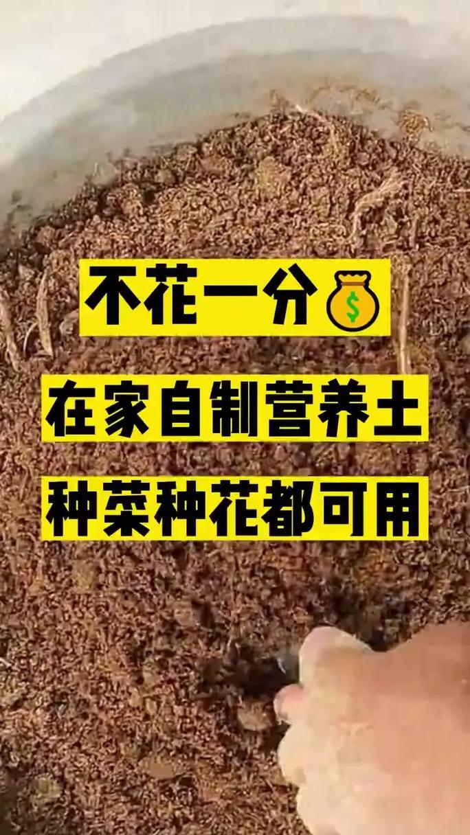 木屑做营养土最简单的方法_发酵锯末做营养土,疏松保肥好帮手 木屑做营养土最简单的方法_发酵锯末做营养土,疏松保肥好帮手