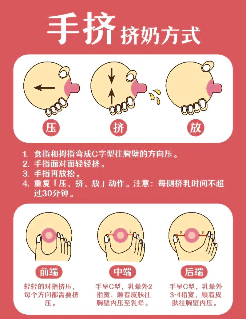 挤奶的正确方法和注意事项_正确挤奶，呵护母婴健康