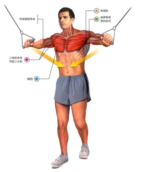 哥练得胸肌你还想不想靠_胸肌梗引热议,是风格革新还是才尽? 哥练得胸肌你还想不想靠_胸肌梗引热议,是风格革新还是才尽?