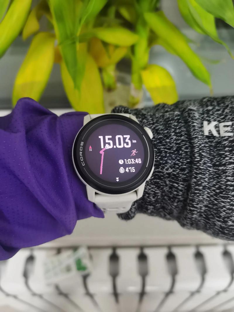 法克莱特跑属于什么训练方法_自由变速，提升实战能力