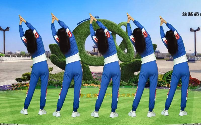 淄博韵之美第十套健身操_淄博韵之美健身操，中文界面，操作便捷，更新后更流畅稳定！