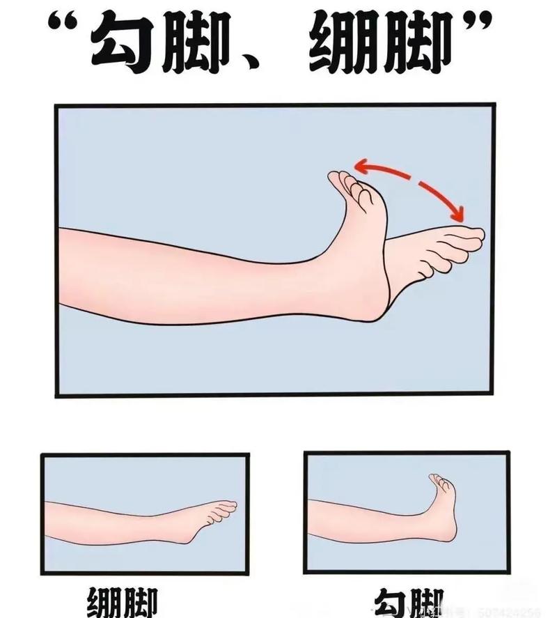 勾绷脚动作及要求_勾绷脚练好背挺直,腿松紧,膝盖并拢,协调基本功! 勾绷脚动作及要求_勾绷脚练好背挺直,腿松紧,膝盖并拢,协调基本功!