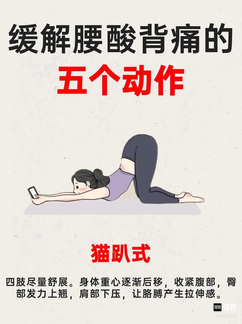 腰无力怎么锻炼_久坐腰无力?练深蹲硬拉强核心! 腰无力怎么锻炼_久坐腰无力?练深蹲硬拉强核心!