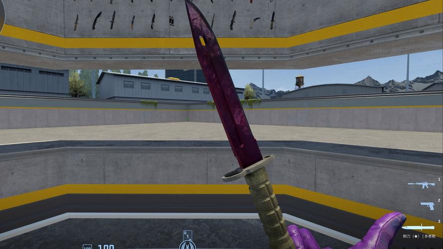 刺刀动作_从起源到现代，近战技能依然重要