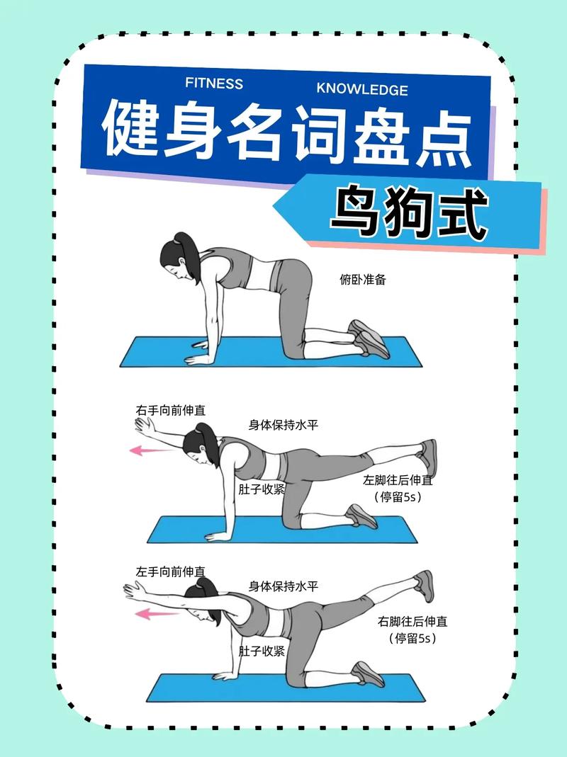 鸟狗式锻炼哪个肌肉_鸟狗式练核心,护腰椎,每周练2-3次! 鸟狗式锻炼哪个肌肉_鸟狗式练核心,护腰椎,每周练2-3次!