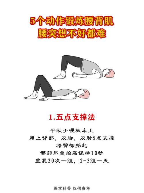 腰上没劲怎么锻炼_腰部无力？练好这4个动作就对了！