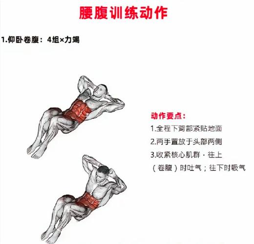 高效练腹肌的动作_HIIT燃脂塑形，卷腹举腿练腹肌，饮食休息不可少！