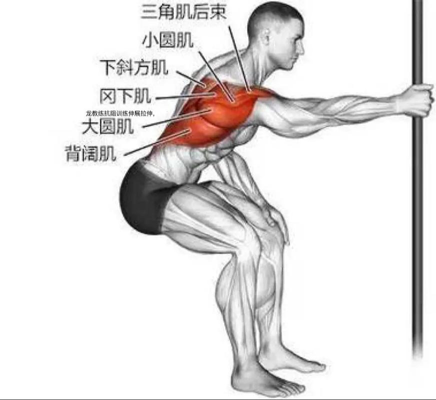 波大圆肌锻炼方法_拉力器引体向上练大圆肌,姿势恢复很重要! 波大圆肌锻炼方法_拉力器引体向上练大圆肌,姿势恢复很重要!