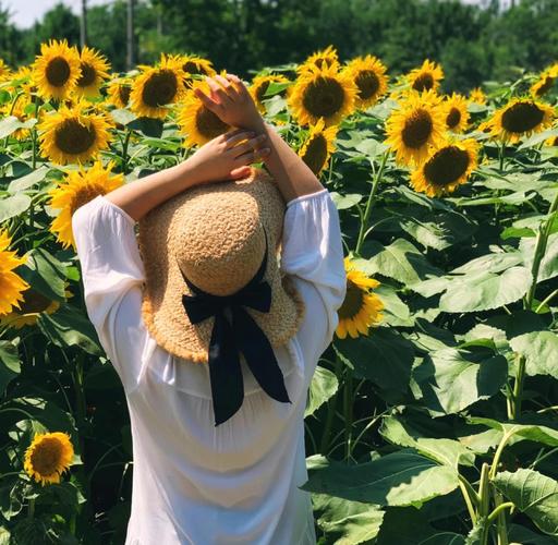 向日葵拍照姿势大合集一看就会_美照轻松拍