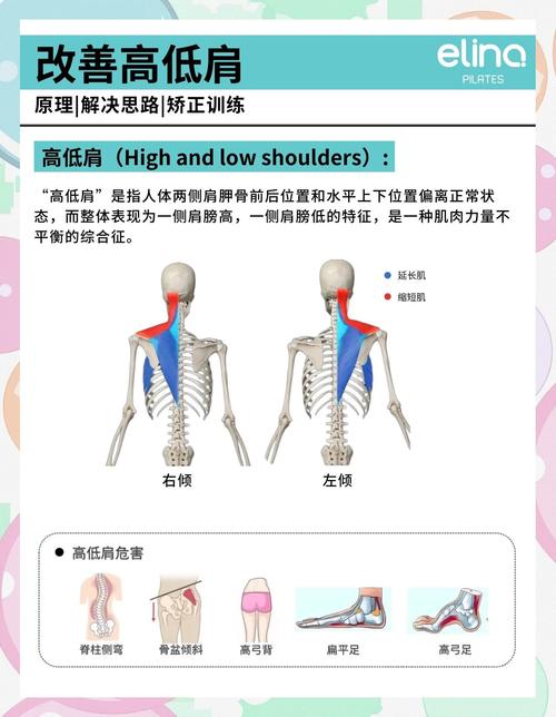 甩正反肩的要领_简单提升肩部灵活力
