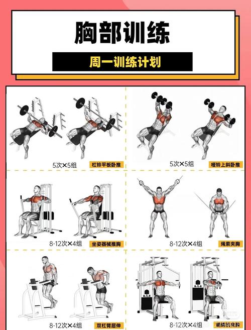 把胸肌练大要多久_坚持练胸，3-6月见效果！