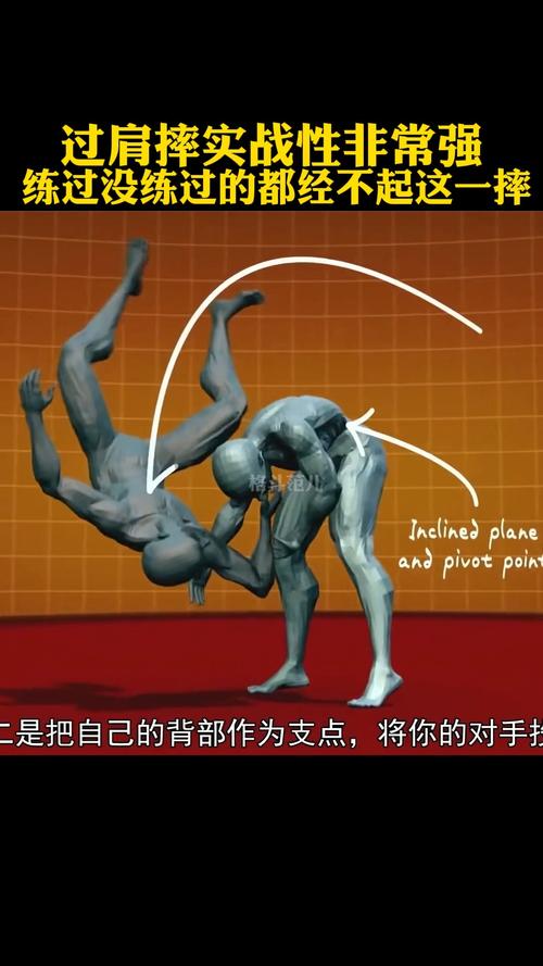 过肩摔三步分解动作_稳站马步摔对手 过肩摔三步分解动作_稳站马步摔对手