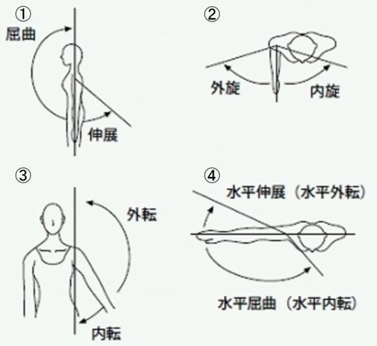 肩内收是什么动作_肩内收动作及训练方法 肩内收是什么动作_肩内收动作及训练方法