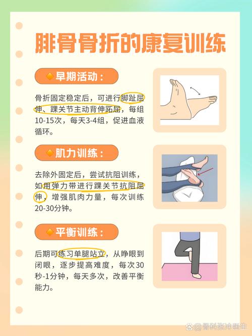 胫腓骨骨折康复训练步骤_踝泵促循环，分期增负练肌力