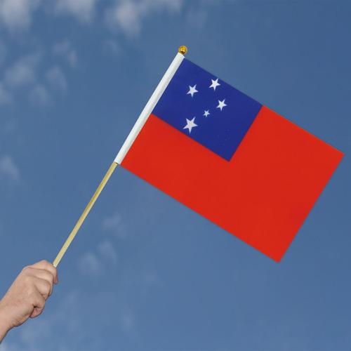 摇旗的正确姿势_执旗敬礼规范动,传递庄严民族情 摇旗的正确姿势_执旗敬礼规范动,传递庄严民族情