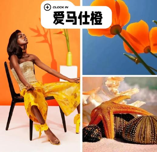 爱马仕橙的配色法则_奢华百搭的活力色 爱马仕橙的配色法则_奢华百搭的活力色