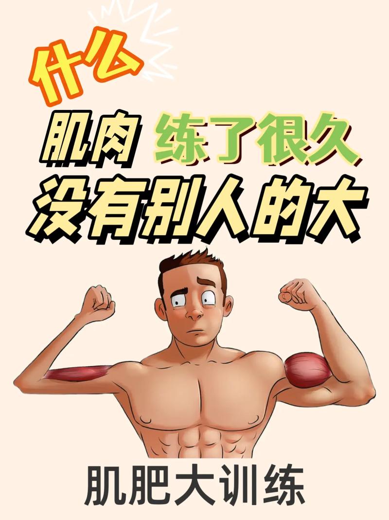 肌肥大训练方法_复合动作练全身，增肌快又强！