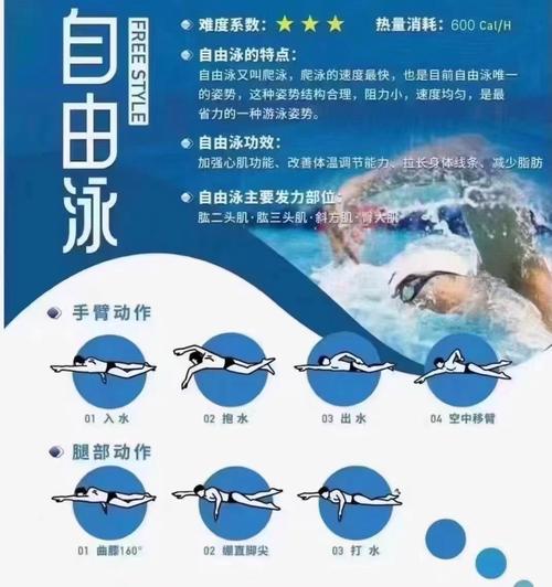 侧泳技术动作特点是自如省力_安静省力，注意安全量力而行