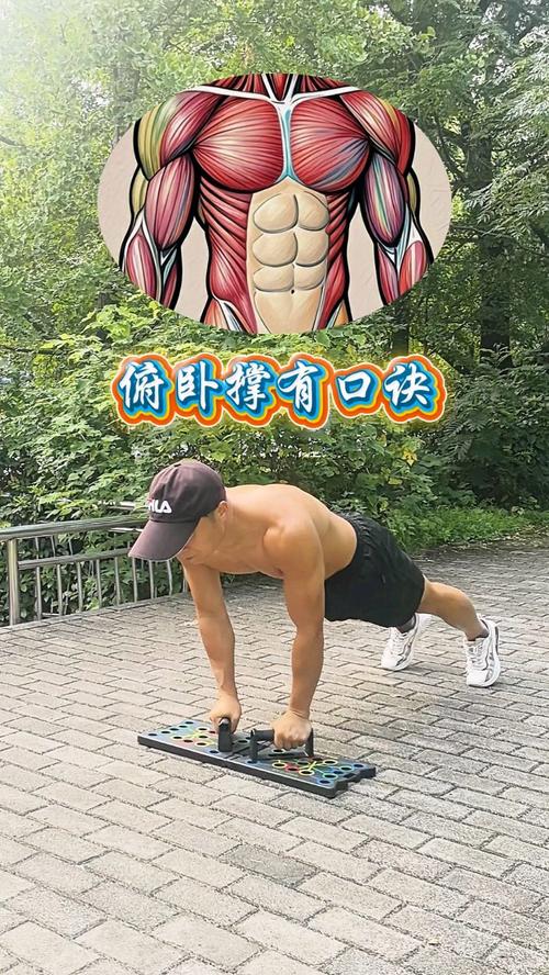 拳头俯卧撑练哪里肌肉_练前臂胸肌，格斗好帮手